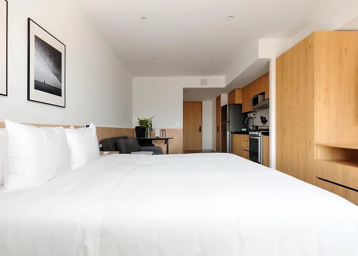 Modern Lofts In Tabacalera By Wynwood House Apartment Mexico City
