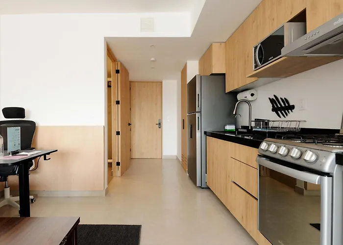 Apartment Modern Lofts In Tabacalera By Wynwood House Mexico City